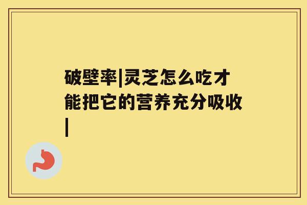 破壁率|灵芝怎么吃才能把它的营养充分吸收|