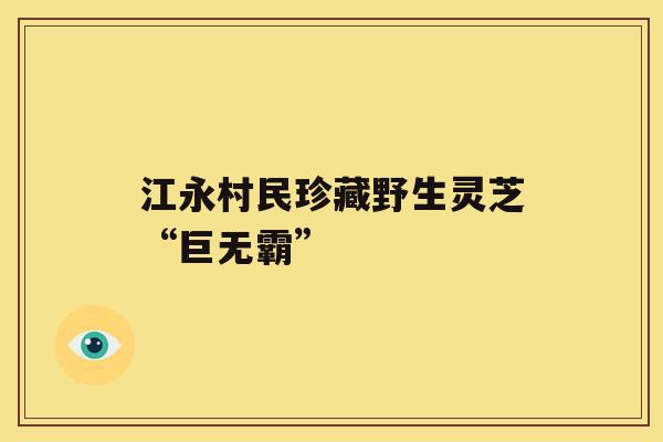 江永村民珍藏野生灵芝“巨无霸” 江永村民珍藏野生灵芝“巨无霸”