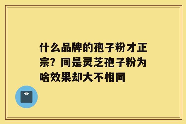 什么品牌的孢子粉才正宗？同是灵芝孢子粉为啥效果却大不相同