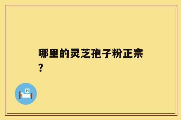 哪里的灵芝孢子粉正宗？