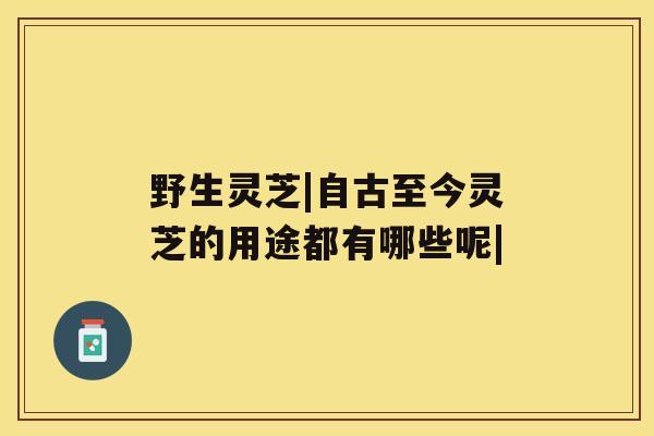 野生灵芝|自古至今灵芝的用途都有哪些呢|