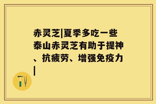 赤灵芝|夏季多吃一些泰山赤灵芝有助于提神、抗疲劳、增强免疫力| 赤灵芝|夏季多吃一些泰山赤灵芝有助于提神、抗疲劳、增强免疫力|
