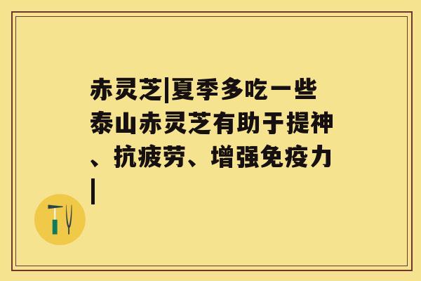 赤灵芝|夏季多吃一些泰山赤灵芝有助于提神、、增强免疫力|