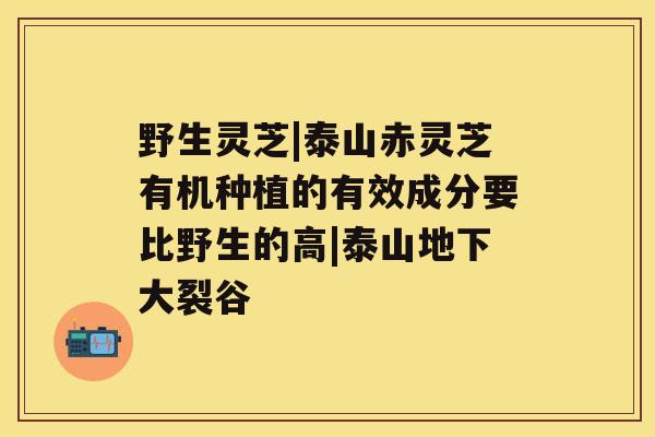 野生灵芝|泰山赤灵芝有机种植的有效成分要比野生的高|泰山地下大裂谷