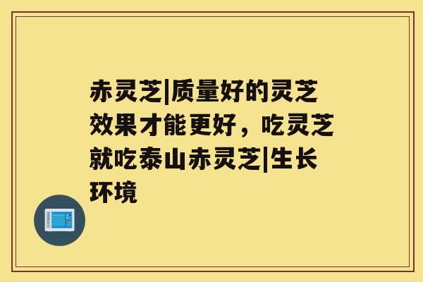 赤灵芝|质量好的灵芝效果才能更好，吃灵芝就吃泰山赤灵芝|生长环境