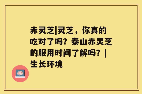 赤灵芝|灵芝，你真的吃对了吗？泰山赤灵芝的服用时间了解吗？|生长环境