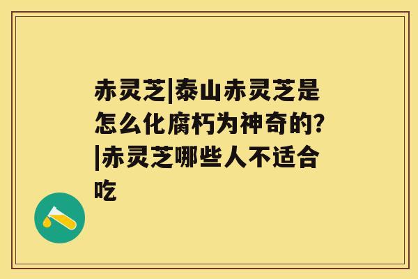 赤灵芝|泰山赤灵芝是怎么化腐朽为神奇的？|赤灵芝哪些人不适合吃