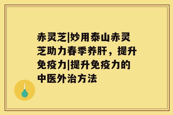 赤灵芝|妙用泰山赤灵芝助力春季养，提升免疫力|提升免疫力的中医外方法