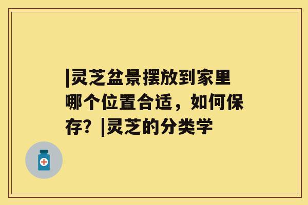 |灵芝盆景摆放到家里哪个位置合适,如何保存?|灵芝的分类学 |灵芝盆景摆放到家里哪个位置合适,如何保存?|灵芝的分类学