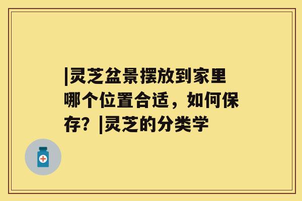 |灵芝盆景摆放到家里哪个位置合适，如何保存？|灵芝的分类学