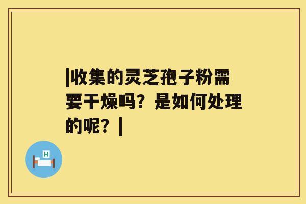 |收集的灵芝孢子粉需要干燥吗?是如何处理的呢?| |收集的灵芝孢子粉需要干燥吗?是如何处理的呢?|