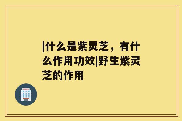 |什么是紫灵芝,有什么作用功效|野生紫灵芝的作用 |什么是紫灵芝,有什么作用功效|野生紫灵芝的作用