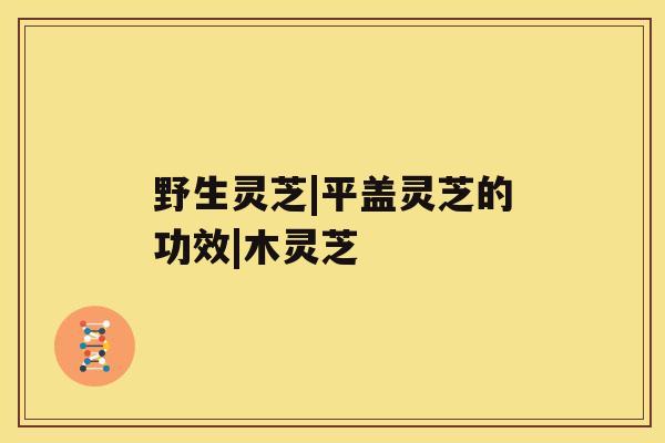 野生灵芝|平盖灵芝的功效|木灵芝
