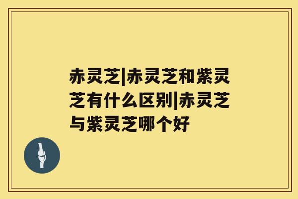 赤灵芝|赤灵芝和紫灵芝有什么区别|赤灵芝与紫灵芝哪个好 赤灵芝|赤灵芝和紫灵芝有什么区别|赤灵芝与紫灵芝哪个好