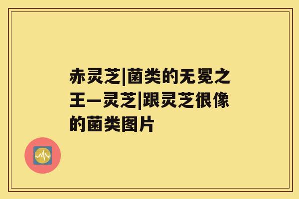 赤灵芝|菌类的无冕之王—灵芝|跟灵芝很像的菌类图片 赤灵芝|菌类的无冕之王—灵芝|跟灵芝很像的菌类图片