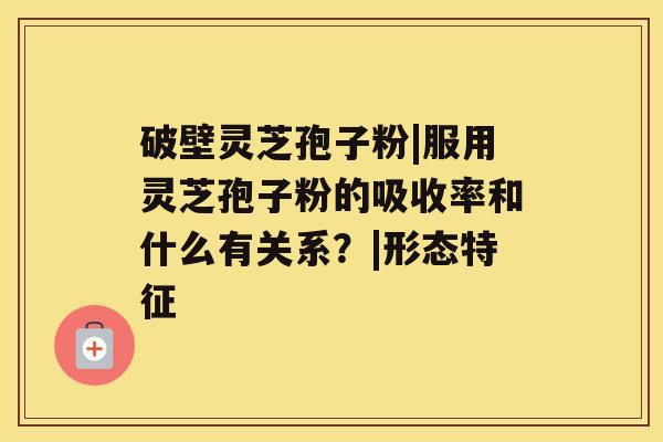 破壁灵芝孢子粉|服用灵芝孢子粉的吸收率和什么有关系?|形态特征 破壁灵芝孢子粉|服用灵芝孢子粉的吸收率和什么有关系?|形态特征