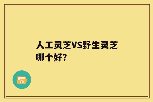 人工灵芝VS野生灵芝哪个好？