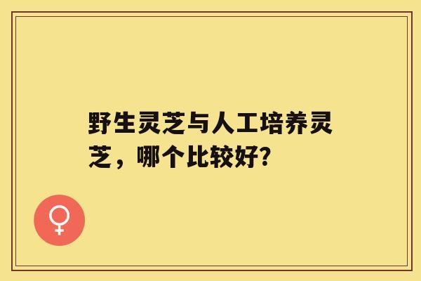 野生灵芝与人工培养灵芝，哪个比较好？