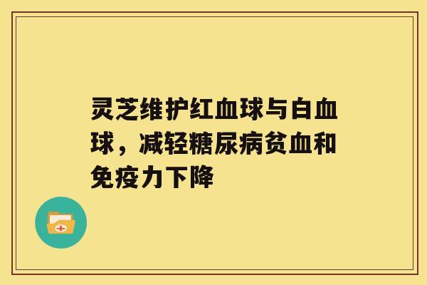 灵芝维护红血球与白血球，减轻糖尿病贫血和免疫力下降