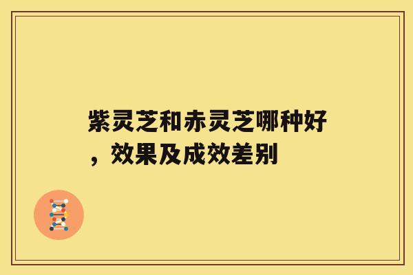 紫灵芝和赤灵芝哪种好，效果及成效差别