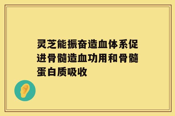 灵芝能振奋造体系促进骨髓造功用和骨髓蛋白质吸收