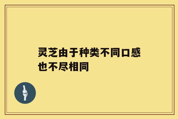 灵芝由于种类不同口感也不尽相同