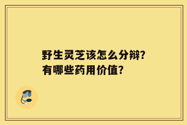 野生灵芝该怎么分辩？有哪些药用价值？