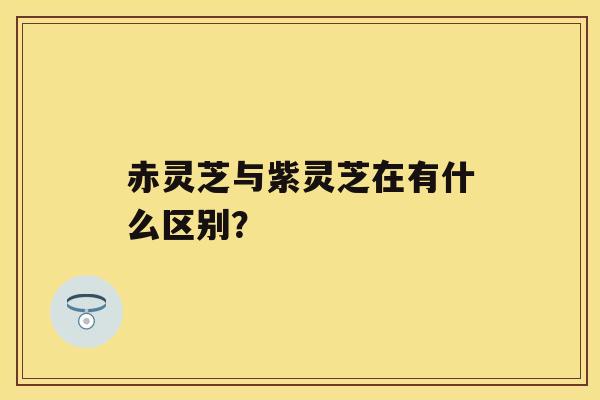 赤灵芝与紫灵芝在有什么区别？