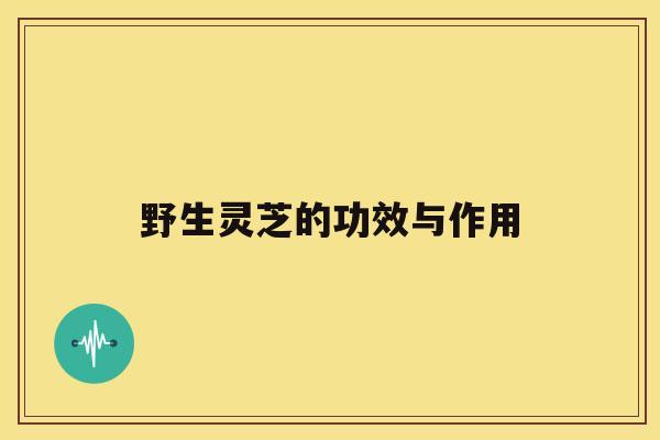 野生灵芝的功效与作用