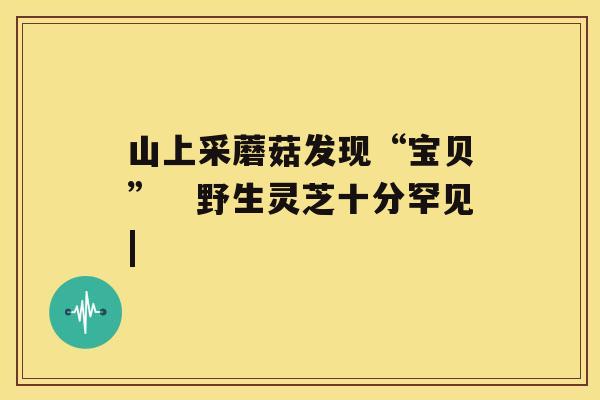 山上采蘑菇发现“宝贝”　野生灵芝十分罕见|