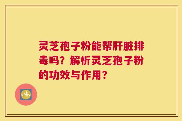 灵芝孢子粉能帮吗？解析灵芝孢子粉的功效与作用？