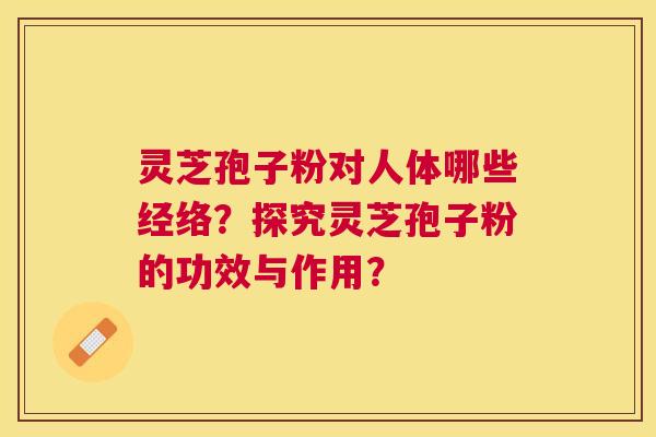 灵芝孢子粉对人体哪些经络？探究灵芝孢子粉的功效与作用？