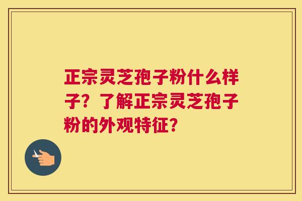 正宗灵芝孢子粉什么样子？了解正宗灵芝孢子粉的外观特征？