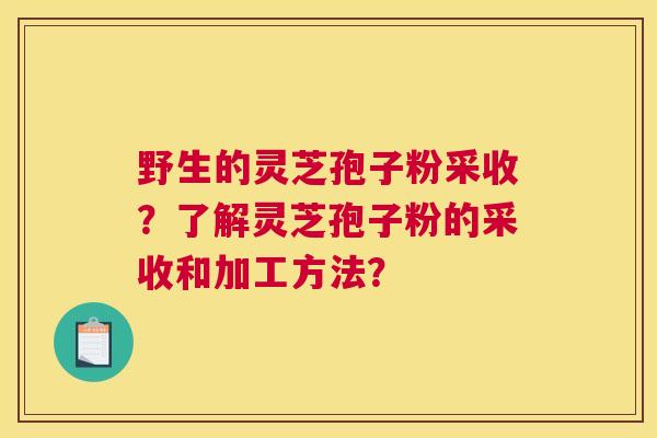 野生的灵芝孢子粉采收？了解灵芝孢子粉的采收和加工方法？