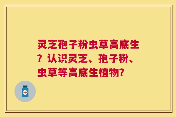 灵芝孢子粉虫草高底生？认识灵芝、孢子粉、虫草等高底生植物？