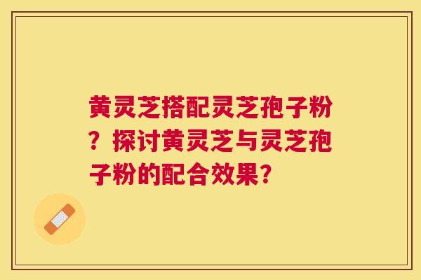 黄灵芝搭配灵芝孢子粉？探讨黄灵芝与灵芝孢子粉的配合效果？