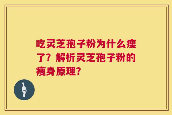 吃灵芝孢子粉为什么瘦了？解析灵芝孢子粉的瘦身原理？