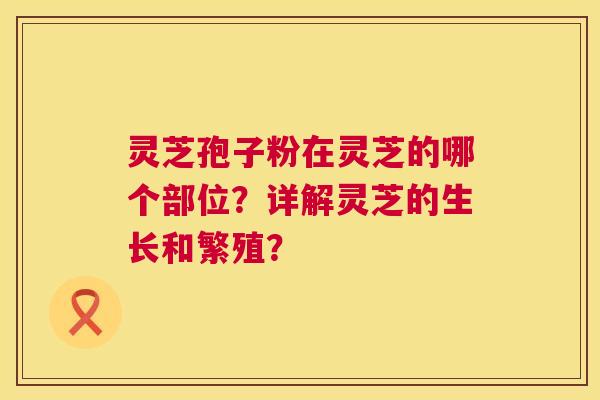 灵芝孢子粉在灵芝的哪个部位？详解灵芝的生长和繁殖？