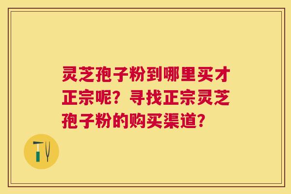 灵芝孢子粉到哪里买才正宗呢？寻找正宗灵芝孢子粉的购买渠道？
