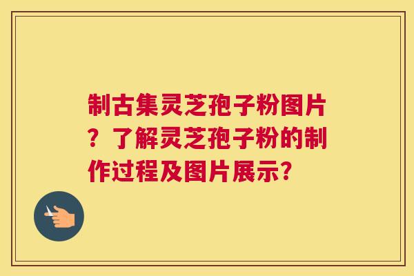 制古集灵芝孢子粉图片？了解灵芝孢子粉的制作过程及图片展示？