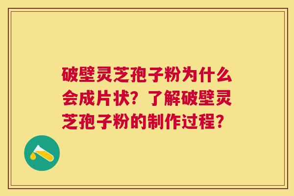 破壁灵芝孢子粉为什么会成片状?了解破壁灵芝孢子粉的制作过程? 破壁灵芝孢子粉为什么会成片状?了解破壁灵芝孢子粉的制作过程?