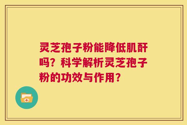 灵芝孢子粉能降低肌酐吗？科学解析灵芝孢子粉的功效与作用？