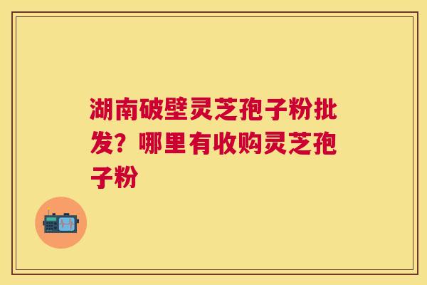 湖南破壁灵芝孢子粉批发？哪里有收购灵芝孢子粉