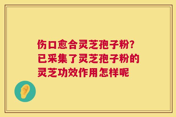伤口愈合灵芝孢子粉？已采集了灵芝孢子粉的灵芝功效作用怎样呢