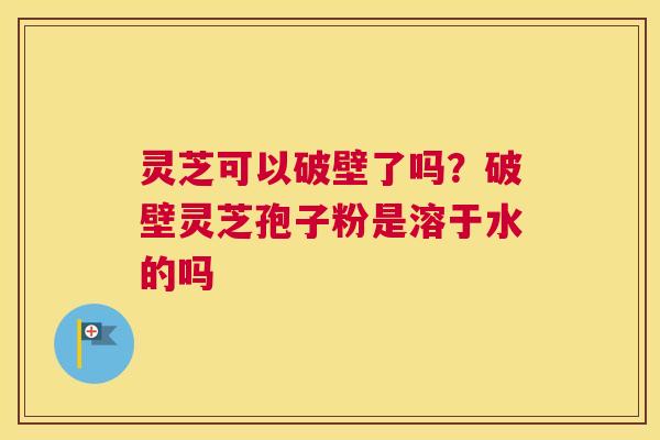 灵芝可以破壁了吗？破壁灵芝孢子粉是溶于水的吗