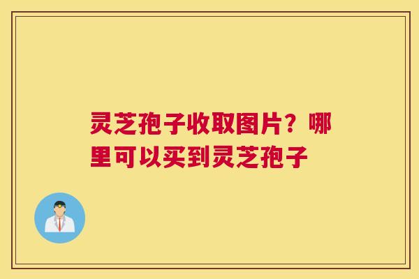 灵芝孢子收取图片？哪里可以买到灵芝孢子