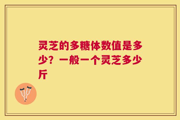 灵芝的多糖体数值是多少？一般一个灵芝多少斤