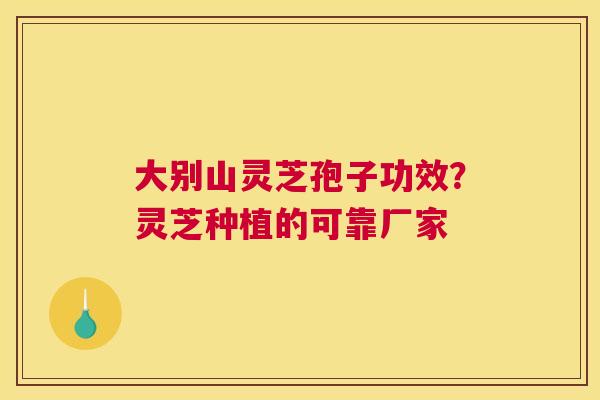 大别山灵芝孢子功效？灵芝种植的可靠厂家