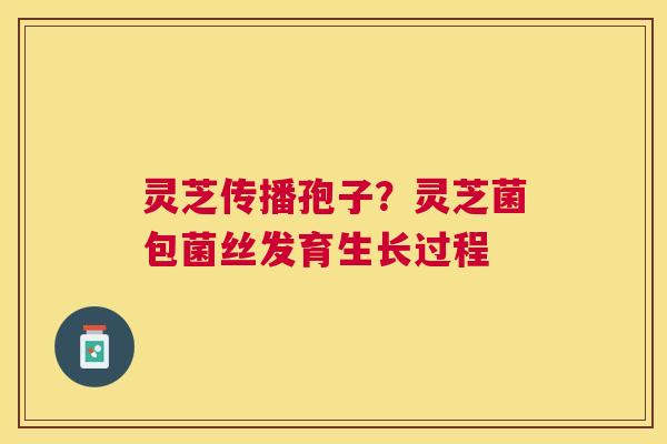 灵芝传播孢子？灵芝菌包菌丝发育生长过程