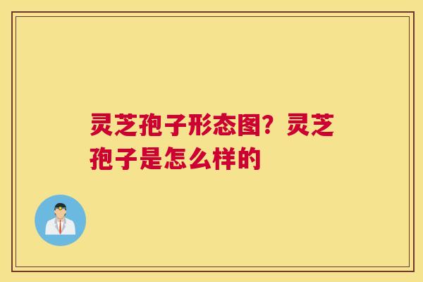 灵芝孢子形态图？灵芝孢子是怎么样的